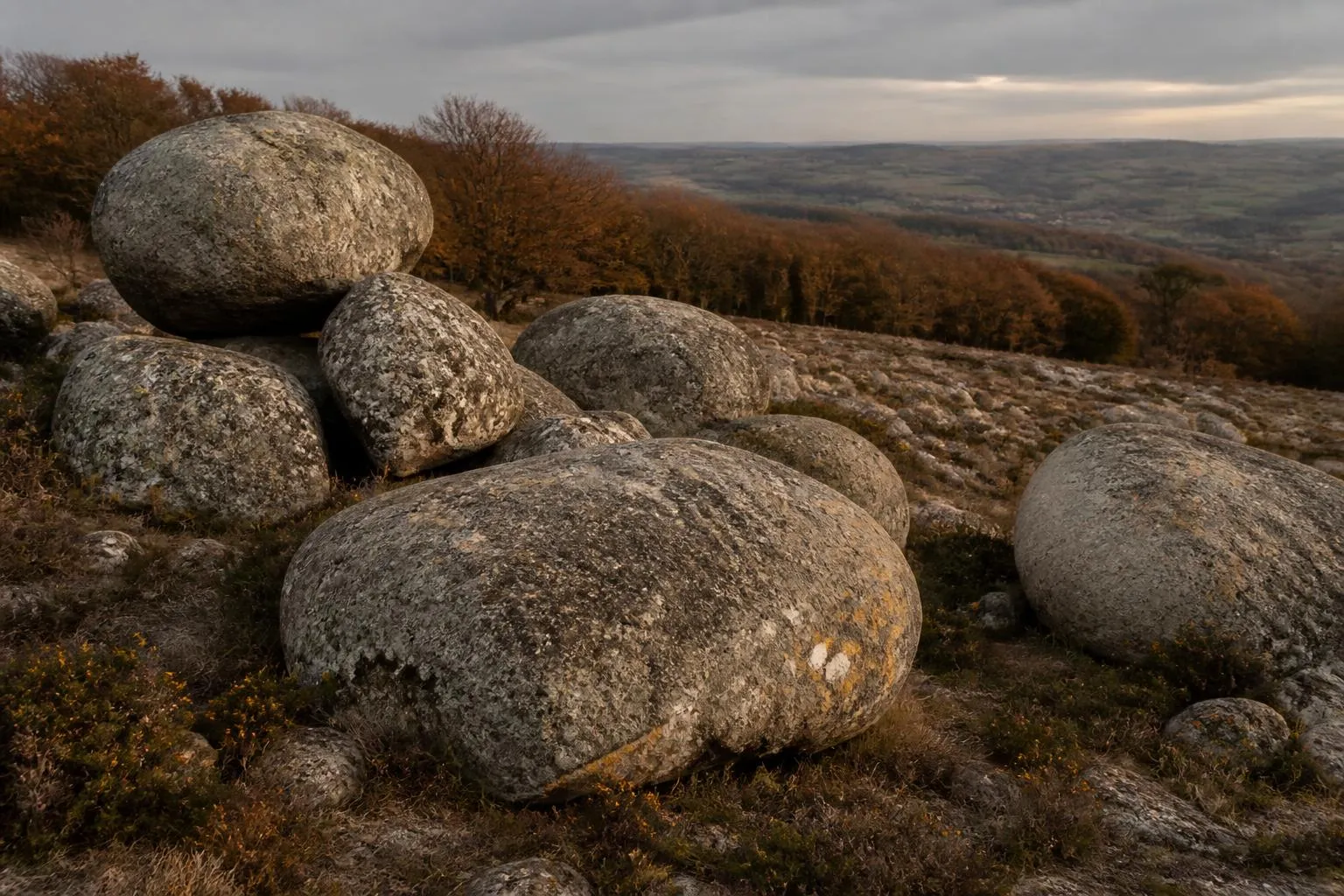Chaos de blocs de granite arrondis dressés au-dessus d'une lande de bruyère et de genêts