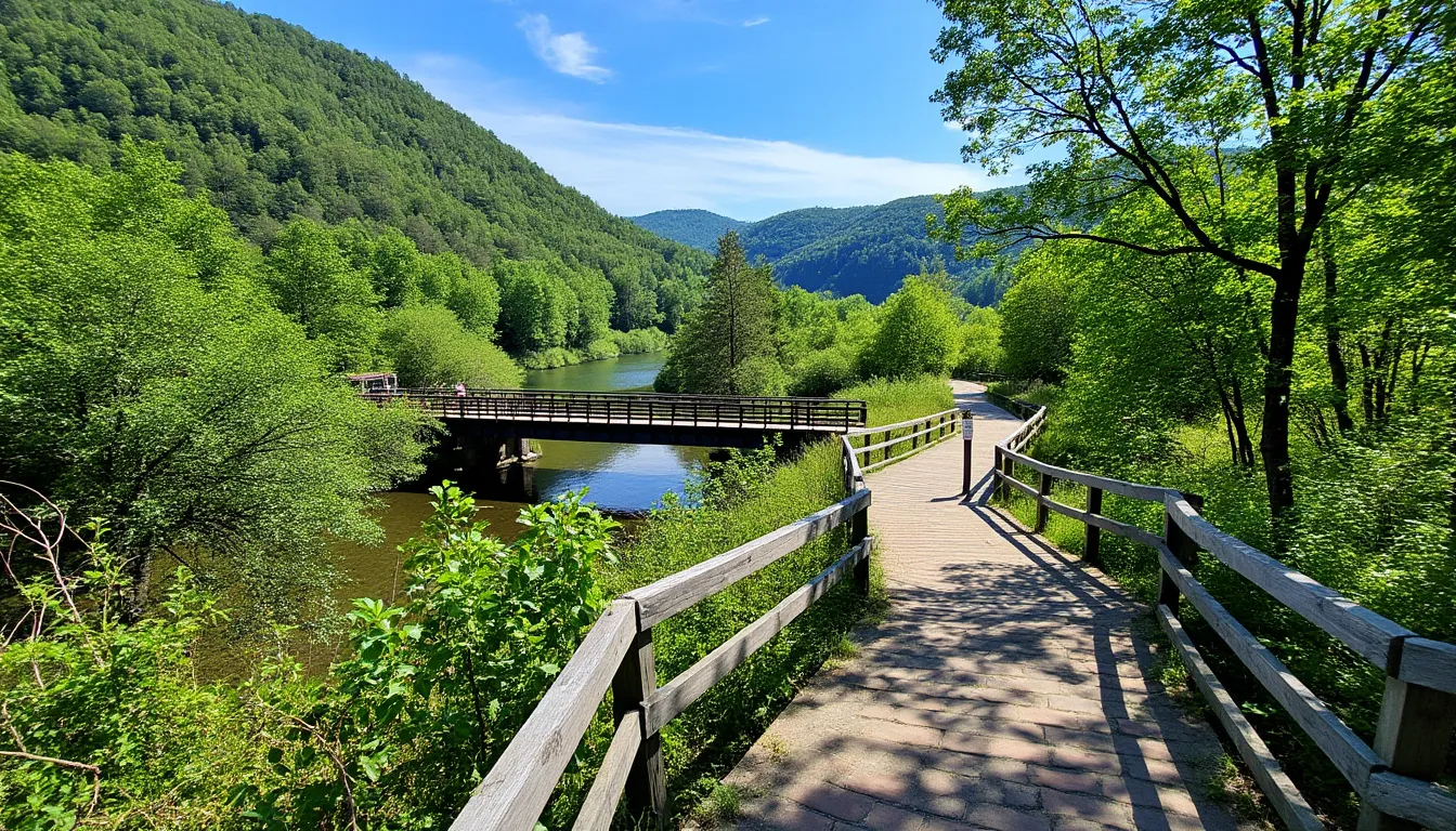découvrez l'autunois morvan comme jamais auparavant avec notre guide des visites insolites. plongez dans les secrets cachés de cette région fascinante, entre nature préservée et richesses patrimoniales. explorez des lieux authentiques, goûtez aux spécialités locales et vivez des expériences hors du commun. préparez-vous à être surpris et émerveillé par les trésors de l'autunois morvan !